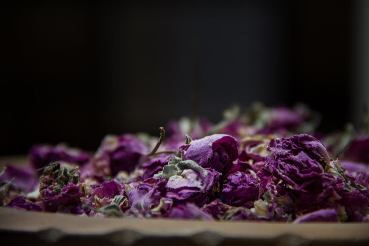 Riad Tama&spa Ouarzazate Bagian luar foto